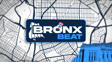 the bronx beat